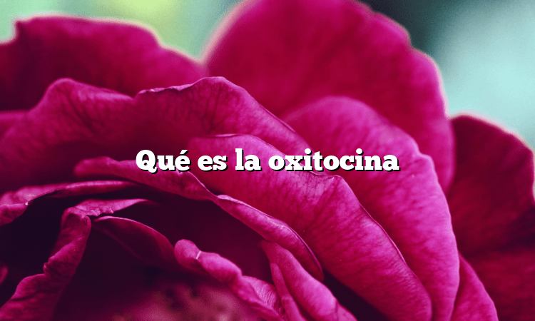 Qué es la oxitocina